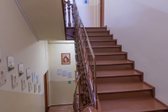 29