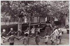 03-6